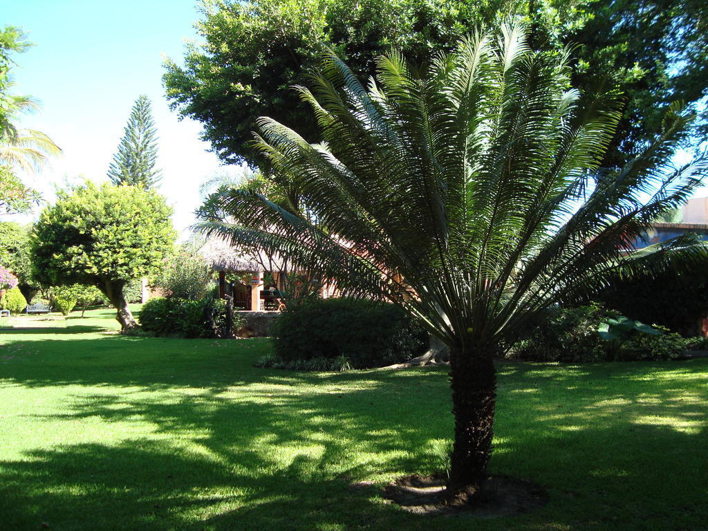 Casa Marly Hotel Xochitepec Luaran gambar